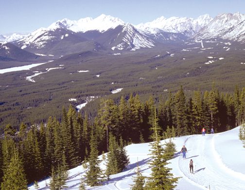 Winter Trip To Canada - Banff, Lake Louise, Emerald Lake, Alyson Haley