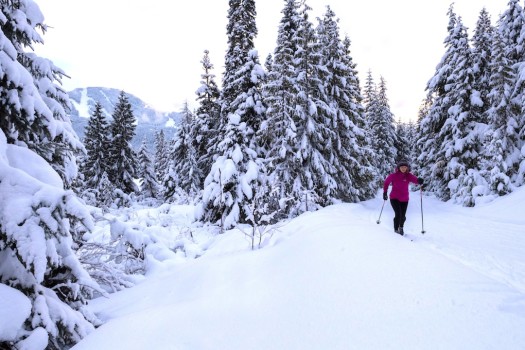 Evening cross country skiing at Lost Lake [P] Tourism Whistler / Mike Crane