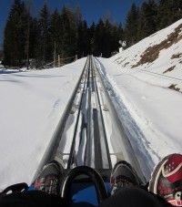 Going up the Alpine Slide [P] courtesy Holly Brooks