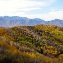 Gorgeous Utah fall colors [P] Holly Brooks