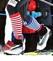 FIS world cup cross-country, 4x5km women, Gaellivare (SWE)