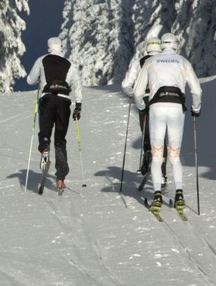 The Swedish Team [P] Jim...