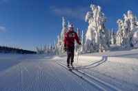 Stunning skiing and weather up in Sjusjoen. It’s no Egypt or Southern France, but it’s relaxing and awesome nonetheless [P] Devon Kershaw