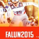 [P]Falun 2015