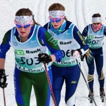 The Match Funding Campaign...