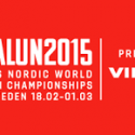 Falun2015