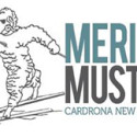 Merino Muster_small Logo