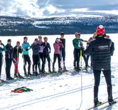 Northern Lytes 94c4 copy...