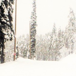 Winter has arrived in Ruka [P]...