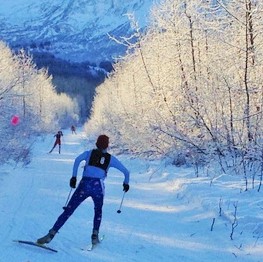 Town trails [P] D.B. Palmer – PWSCC (2)