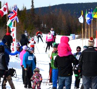 [P] courtesy of PAL Great Labrador...