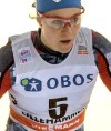 FIS world cup cross-country, individual sprint, Lillehammer (NOR)