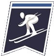 NCAA Logo.333