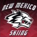 New Mexico Skiing logo 2017-05-03 at 10.39.53 PM.33