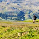 Training on roller skis in Iceland’s beautiful surroundings [P] Icelandic Ski Association