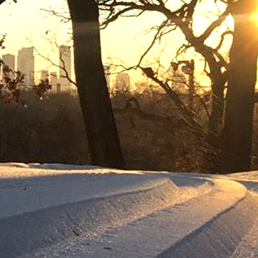 Wirth.333 2017-12-24 at 8.29.43...